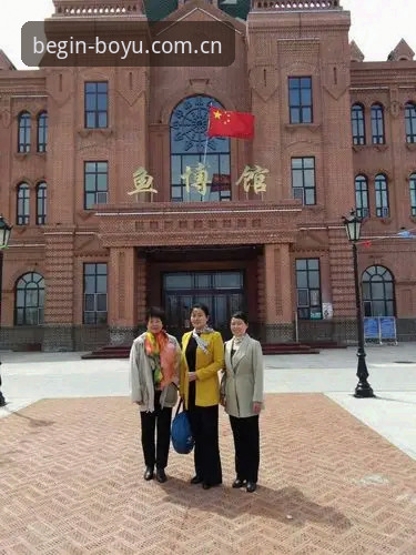 苹果版博鱼中国体育官方下载到底改变了什么？一个老用户的使用手记
