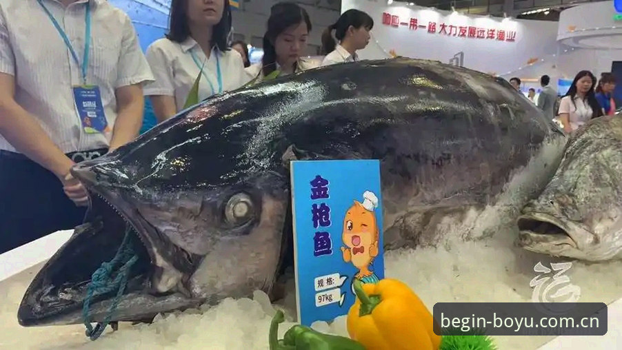 揭秘博鱼体育官网改版背后：那些你没察觉的设计陷阱与安装误区